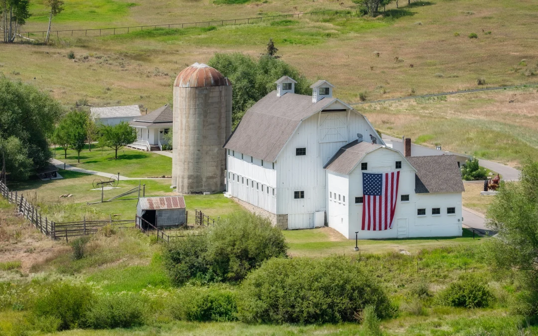 Drones in Agriculture: How to Use Drones in Farming